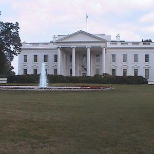 Meet your Posher, Larry